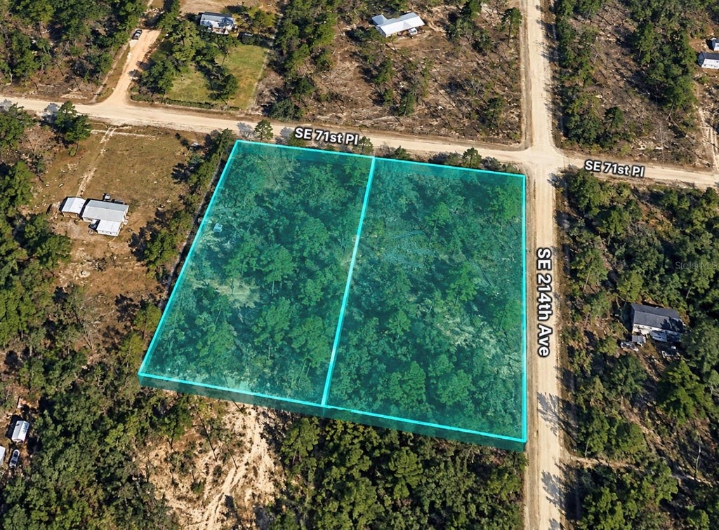 Photo of 21330 SE 71st Street, Morriston, FL 32668 (MLS # TB8563306)