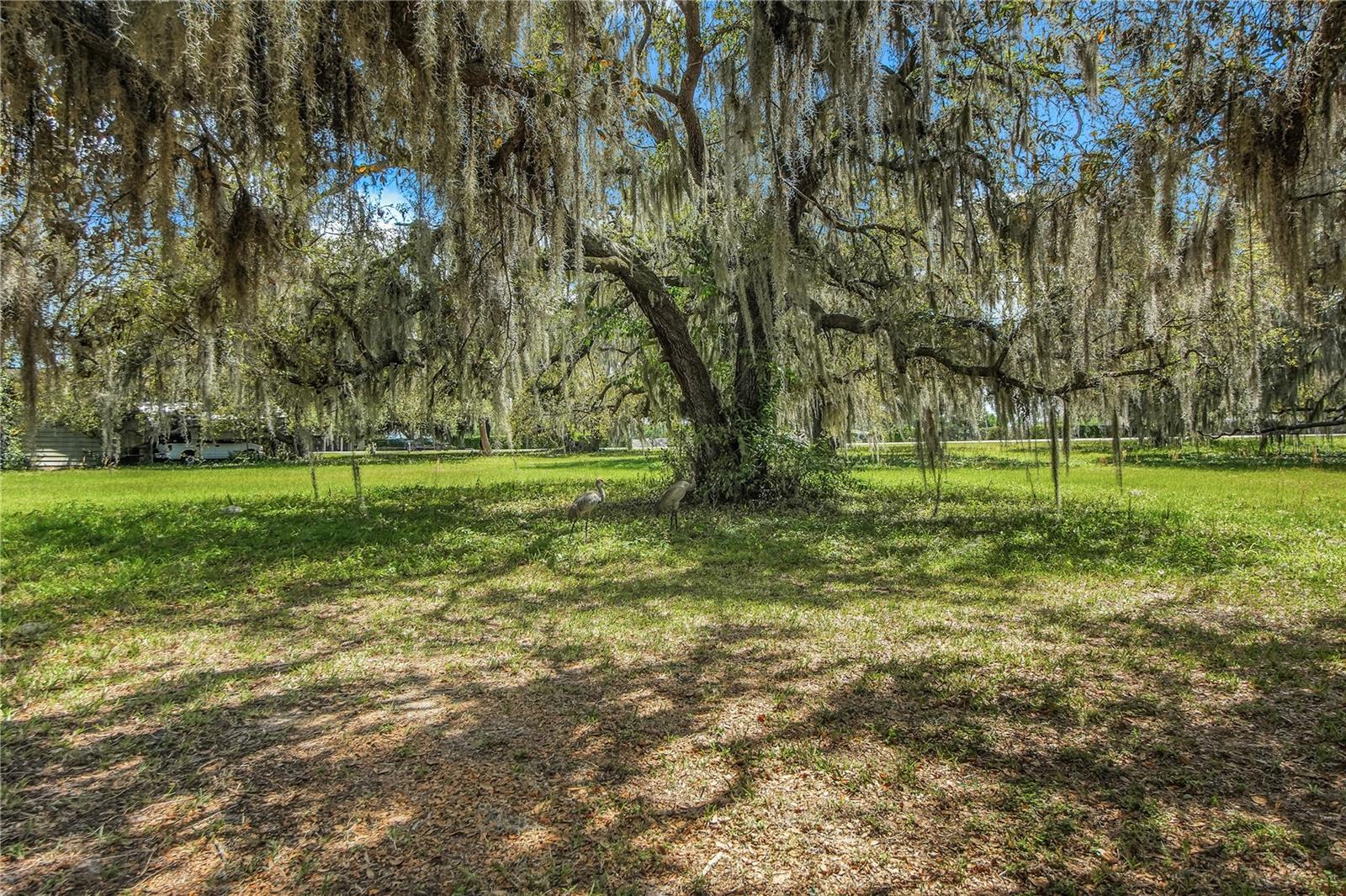 SCOTTISH HIGHLANDS CONDO PH V - Residential