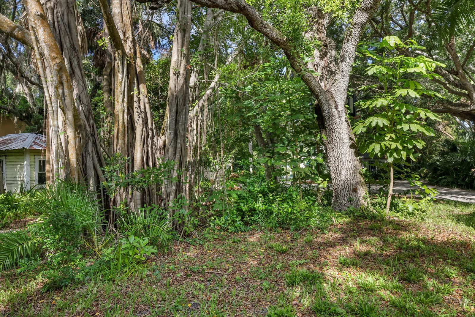 INDIAN BEACH MAP OF - Residential