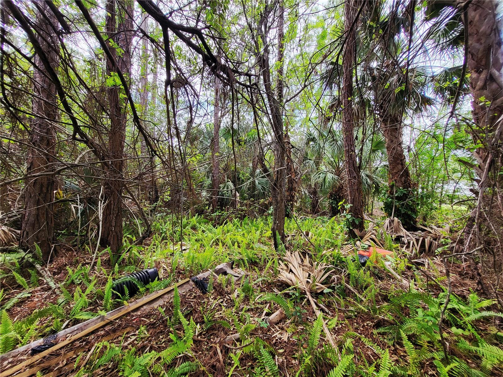 PORT MALABAR UNIT 41 - Land