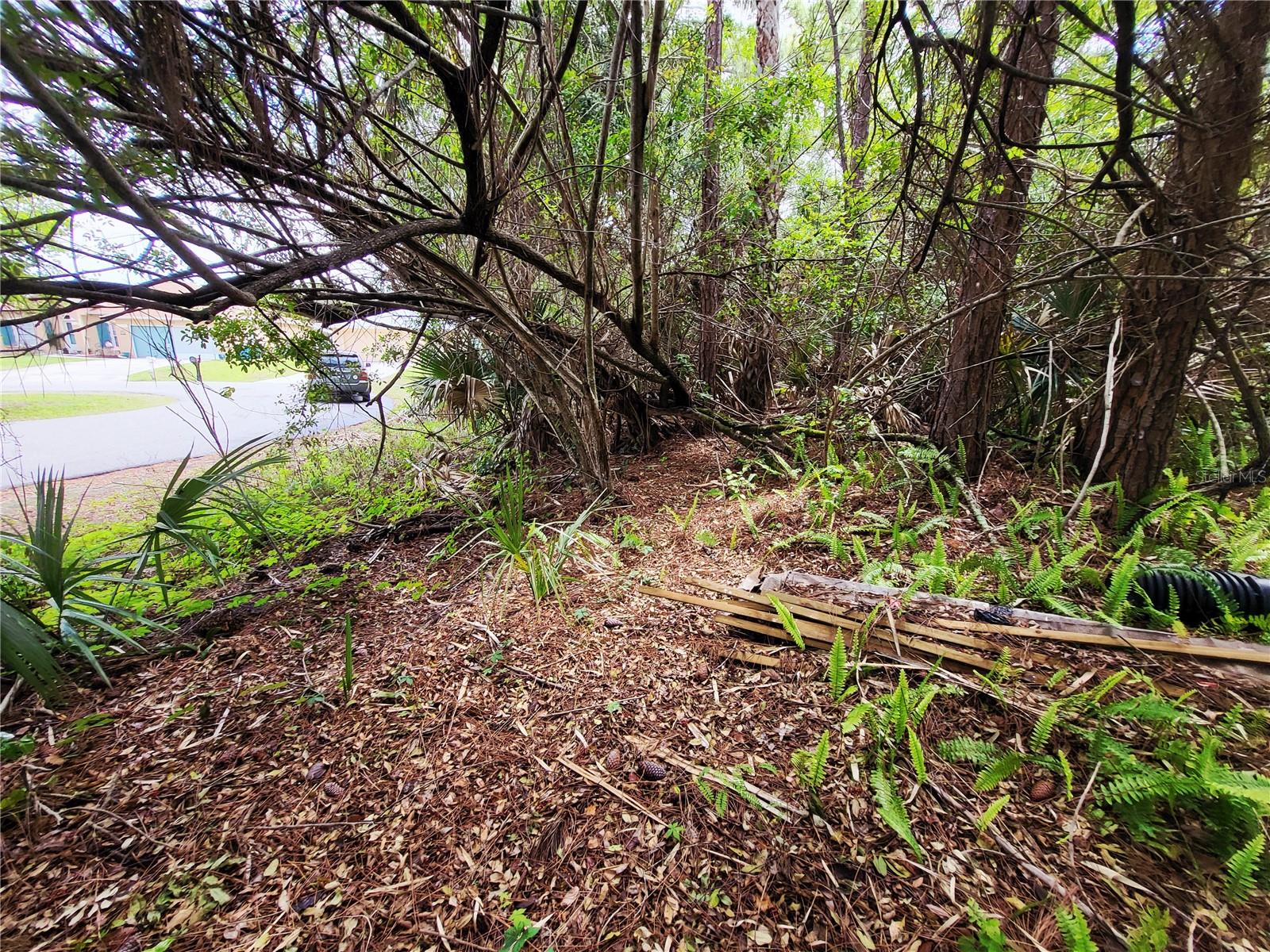 PORT MALABAR UNIT 41 - Land