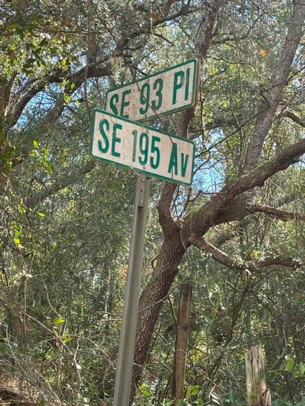 Photo of 9345 SE 195th Avenue, Ocklawaha, FL 32179 (MLS # TB8507734)