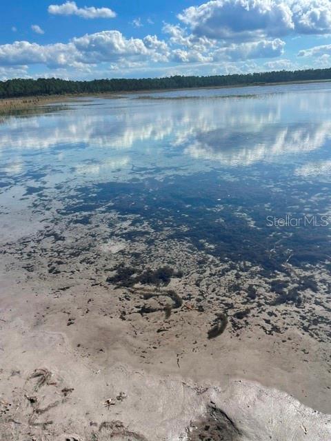 FRST LAKES PARK - Land