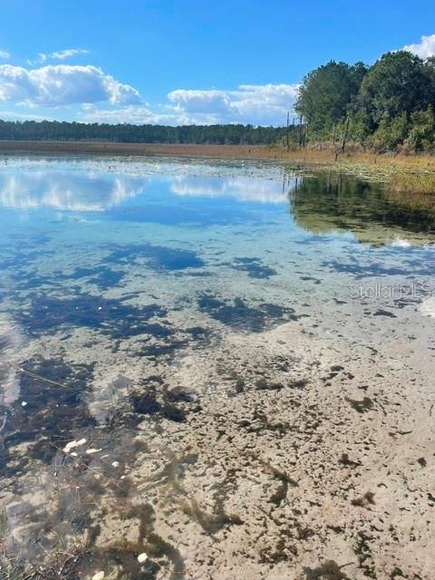 FRST LAKES PARK - Land