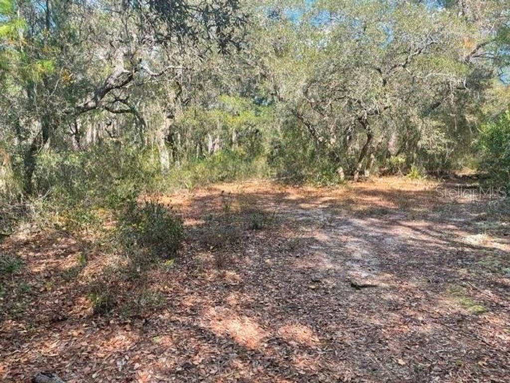 Photo of 9345 SE 195th Avenue, Ocklawaha, FL 32179 (MLS # TB8507734)