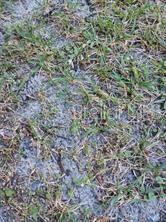 RAINBOW LAKES ESTATE - Land