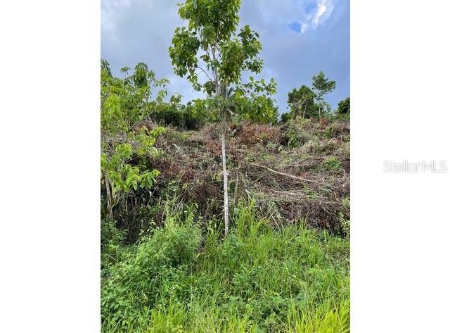 RAINBOW LAKES ESTATE - Land