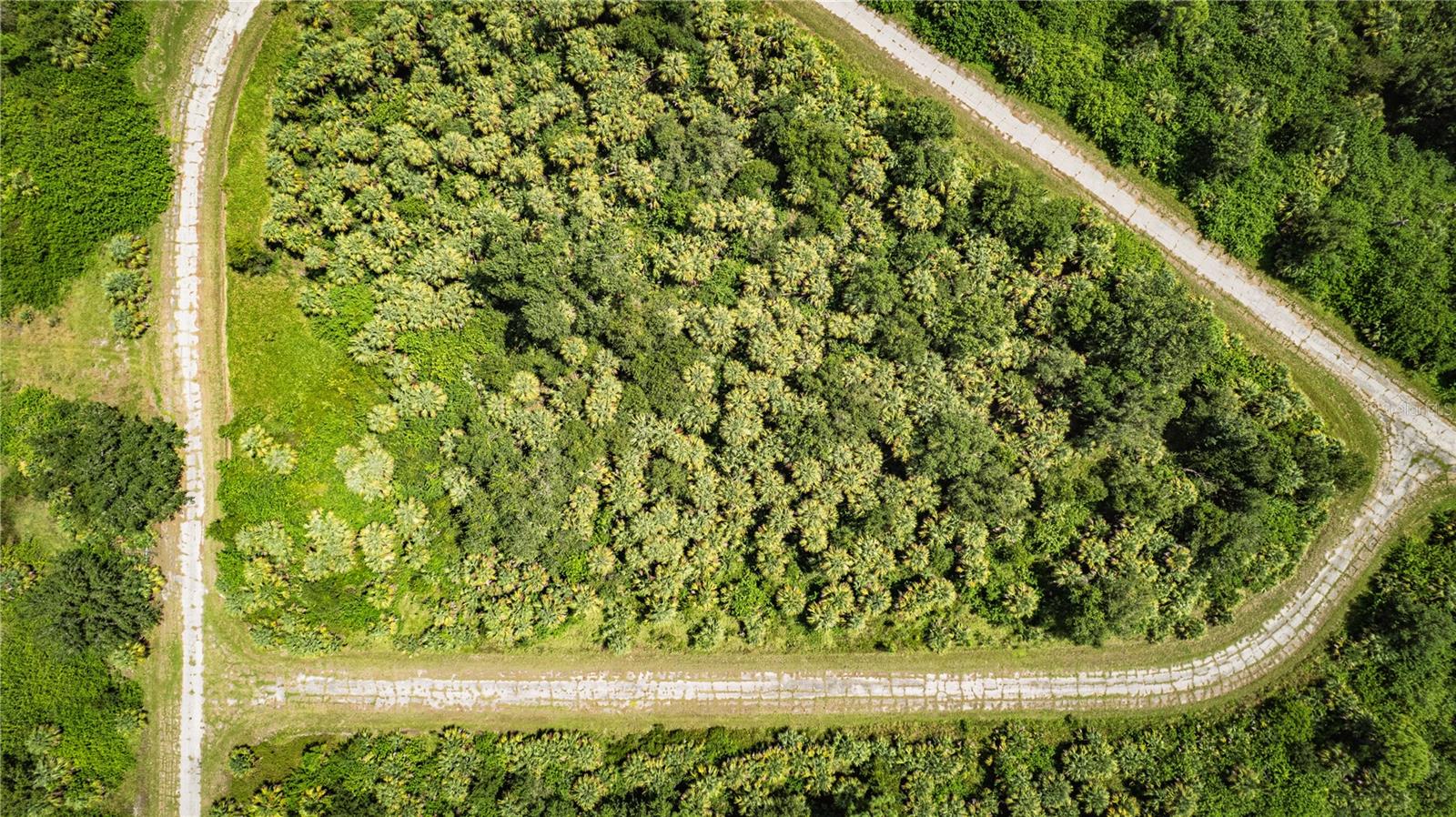 Build your dream home or investment property on this spacious 12,243 sq. ft. residential lot located in the rapidly developing City of North Port! This prime parcel offers the perfect blend of privacy and accessibility—nestled in a peaceful neighborhood while being minutes from major amenities. Conveniently situated near I-75, Tamiami Trail (US-41), and the upcoming Wellen Park community, this location provides easy access to shopping, dining, medical facilities, and top-rated schools. Enjoy proximity to Warm Mineral Springs, Cocoplum Village Shops, Heron Creek Golf & Country Club, and just a short drive to pristine Gulf beaches and Downtown Venice.
No HOA, no deed restrictions—design the lifestyle you want! With utilities nearby and consistent growth in the surrounding area, this lot presents an outstanding opportunity for homeowners, builders, and investors alike.
Don’t miss your chance to secure land in one of Southwest Florida’s fastest-growing communities!