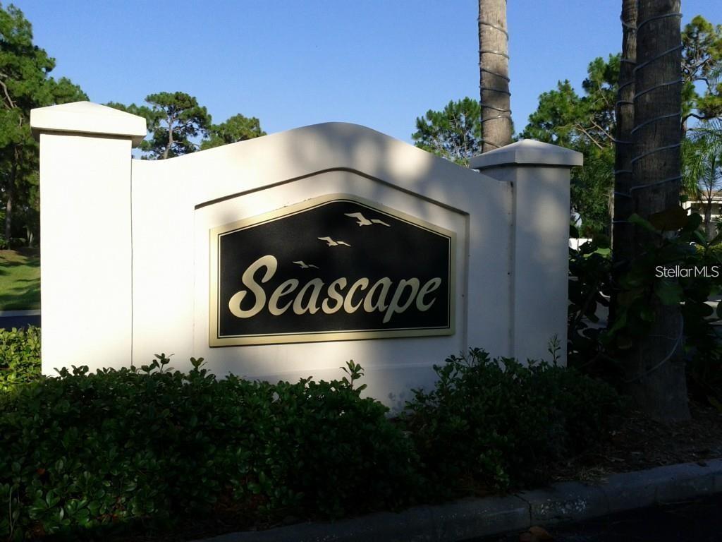 Seascape is a water front condominium community located on a canal leading to Florida's West Coast. The complex Seascape is comprised of 68 Condominiums. Each of the five buildings face a canal that has access to the Gulf of Mexico. This 2 bedroom 2 bath condo is well maintained, clean and move in ready. Enjoy the large kitchen with adjoining living and dining room. Master/Primary Bedroom with en-suite.You have separate entrances to the lanai from the Primary/Master Bedroom and from the Living Room. The 2nd bedroom is spacious and there is a second full bathroom with shower/tub. Plus the convenience of an indoor laundry room. Also a screened in Lanai to view the canal that leads to the Gulf of Mexico. Basic Internet and Cable are available at no cost through Spectrum. In addition water, sewer and trash are included in the rental price. The clubhouse features a beautiful pool, a full kitchen, fitness room and library. Just minutes from the Tarpon Springs Golf Course, Fred Howard Park and Sunset Beach. The famous Sponge Docks with shopping and Restaurants are close by as well. This community is friendly to pets. This is Florida living at it's best. Please call or text to make an appointment to preview this beautiful condo available for rent at only $2,000. per month with a one year lease.