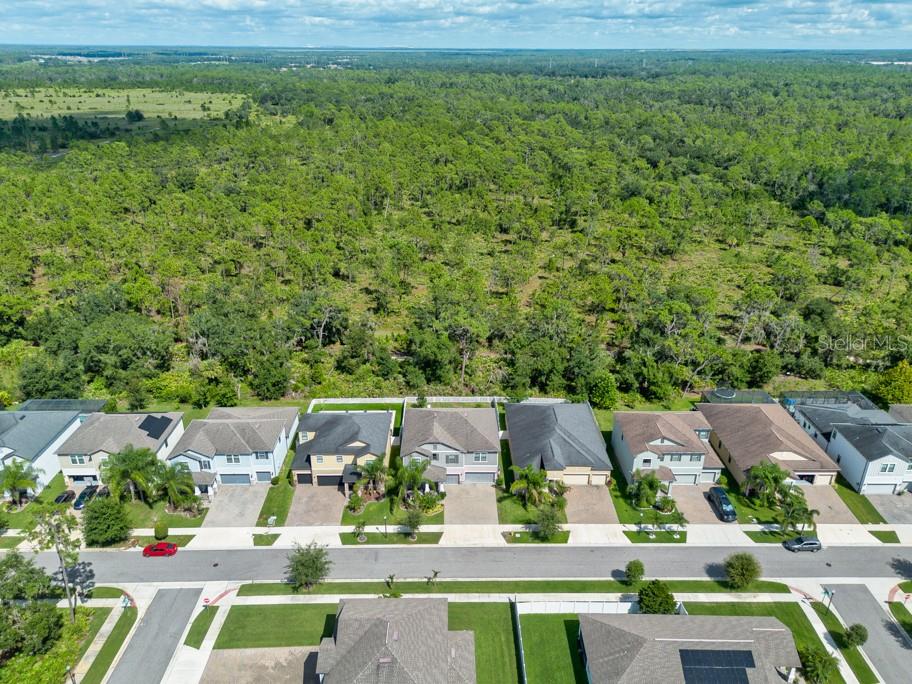 TRIPLE CREEK PH 2 VILLAGE G - Residential