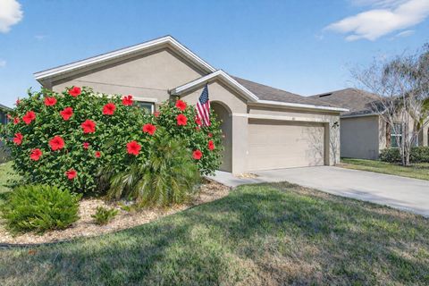 Photo of 113 Fishermans Cove Drive, Edgewater, FL 32141 (MLS # NS1087262)