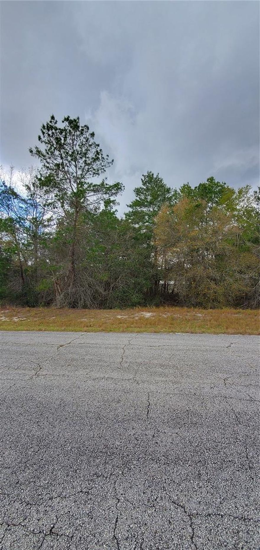 Welcome to your slice of paradise in Poinciana, FL! Nestled amidst the serene landscapes of this charming community, this vacant, undeveloped land presents an incredible opportunity to craft your dream oasis.
Situated in close proximity to essential utilities, this property offers convenience without compromising on tranquility. Embrace the allure of Poinciana's vibrant villages, boasting an array of parks and recreational facilities to cater to your leisurely pursuits.
For those seeking a blend of excitement and relaxation, look no further. While being just a short trip away from the renowned Disney World, this parcel of land provides the perfect escape from the hustle and bustle, allowing you to unwind in peace. With the Poinciana Activity Campus nearby, opportunities for entertainment and community engagement abound. Whether you envision building your dream home, establishing a vacation retreat, or investing in the future, this land offers endless possibilities. Don't miss your chance to claim your piece of paradise in Poinciana, where the beauty of nature meets the convenience of modern amenities. Seize this opportunity to create the lifestyle you've always desired.