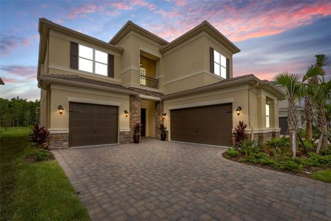 A home in WESLEY CHAPEL