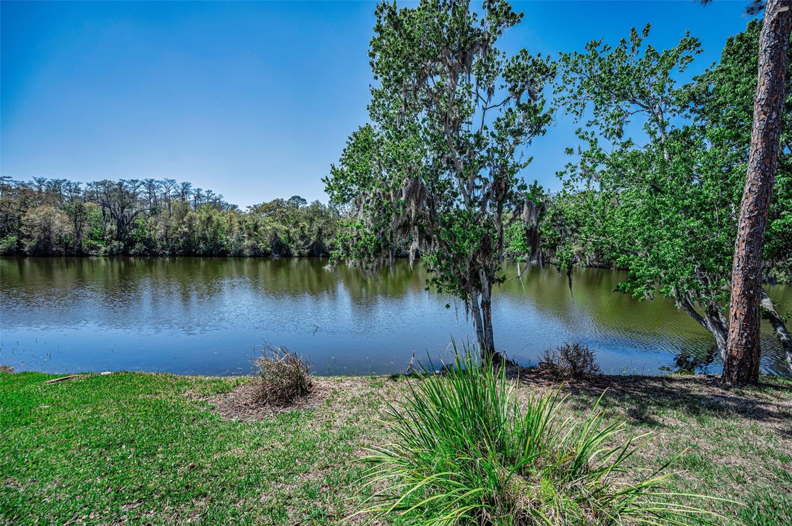 CROSS CREEK UNIT 1 - Residential