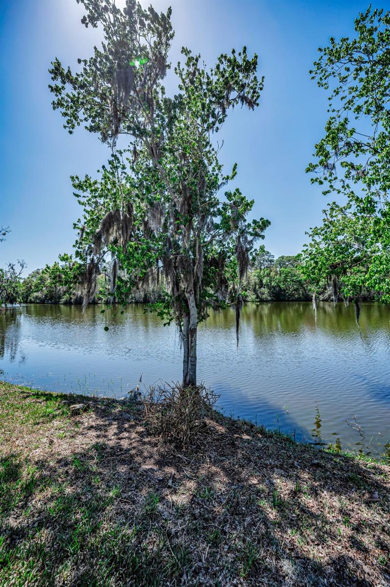 CROSS CREEK UNIT 1 - Residential