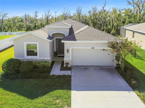 A home in ZEPHYRHILLS