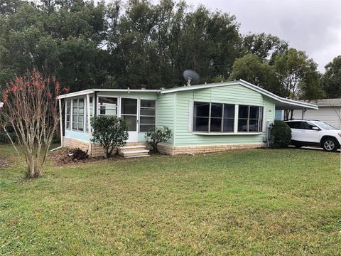 A home in MOUNT DORA