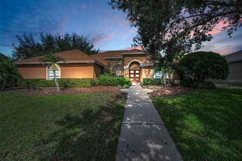 Photo of 4007 Ligustrum Drive, Palm Harbor, FL 34685 (MLS # TB8436102)