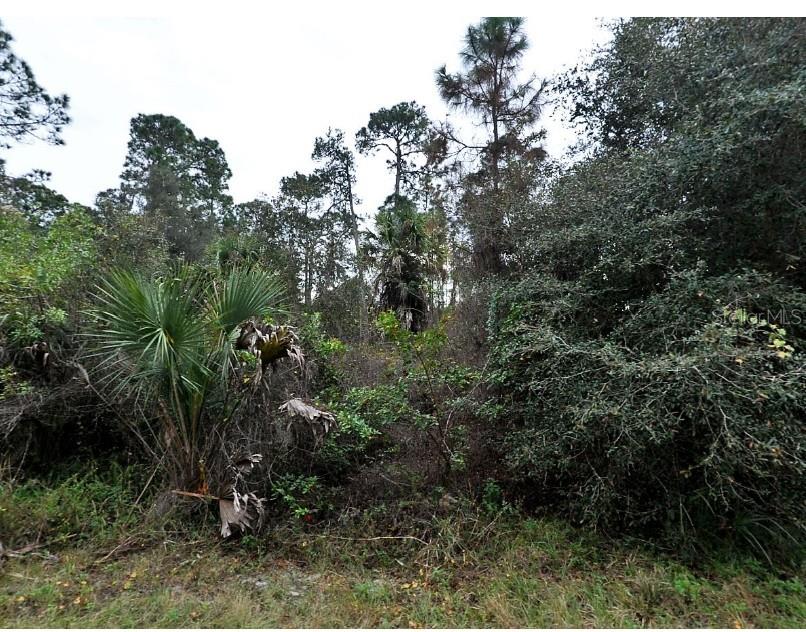 Build your dream home on this beautiful lot in the growing city of North Port! Nestled in a quiet area, property offers a peaceful setting with convenient access to local amenities. North Port has become one of Southwest Florida’s most desirable areas, located ideally for commuters to Sarasota or Fort Myers.
Enjoy community highlights such as the North Port Aquatic Center, the Atlanta Braves Spring Training Facility, a variety of shopping and dining options, public parks, and more — all just a short drive away. Plus, you're less than 30 minutes from the stunning beaches of the Gulf Coast.
Whether you're looking to invest or build your personal paradise, this spacious lot provides the perfect opportunity. Drive by and see the potential — then make your offer today!