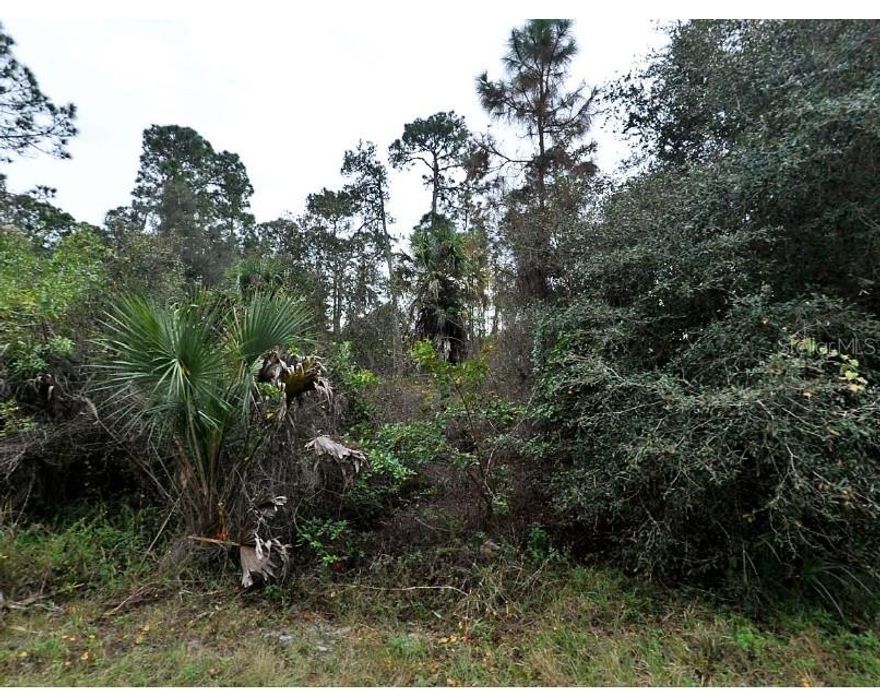Build your dream home on this beautiful lot in the growing city of North Port! Nestled in a quiet area, property offers a peaceful setting with convenient access to local amenities. North Port has become one of Southwest Florida’s most desirable areas, located ideally for commuters to Sarasota or Fort Myers.
Enjoy community highlights such as the North Port Aquatic Center, the Atlanta Braves Spring Training Facility, a variety of shopping and dining options, public parks, and more — all just a short drive away. Plus, you're less than 30 minutes from the stunning beaches of the Gulf Coast.
Whether you're looking to invest or build your personal paradise, this spacious lot provides the perfect opportunity. Drive by and see the potential — then make your offer today!