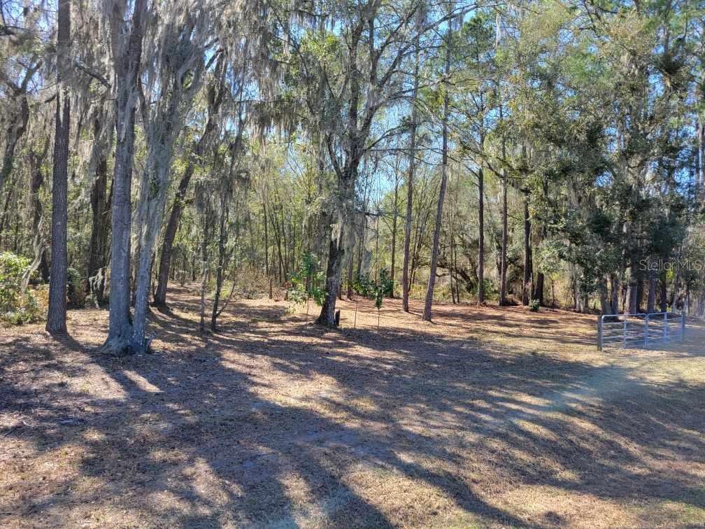 10133 SE HAWTHORNE ROAD