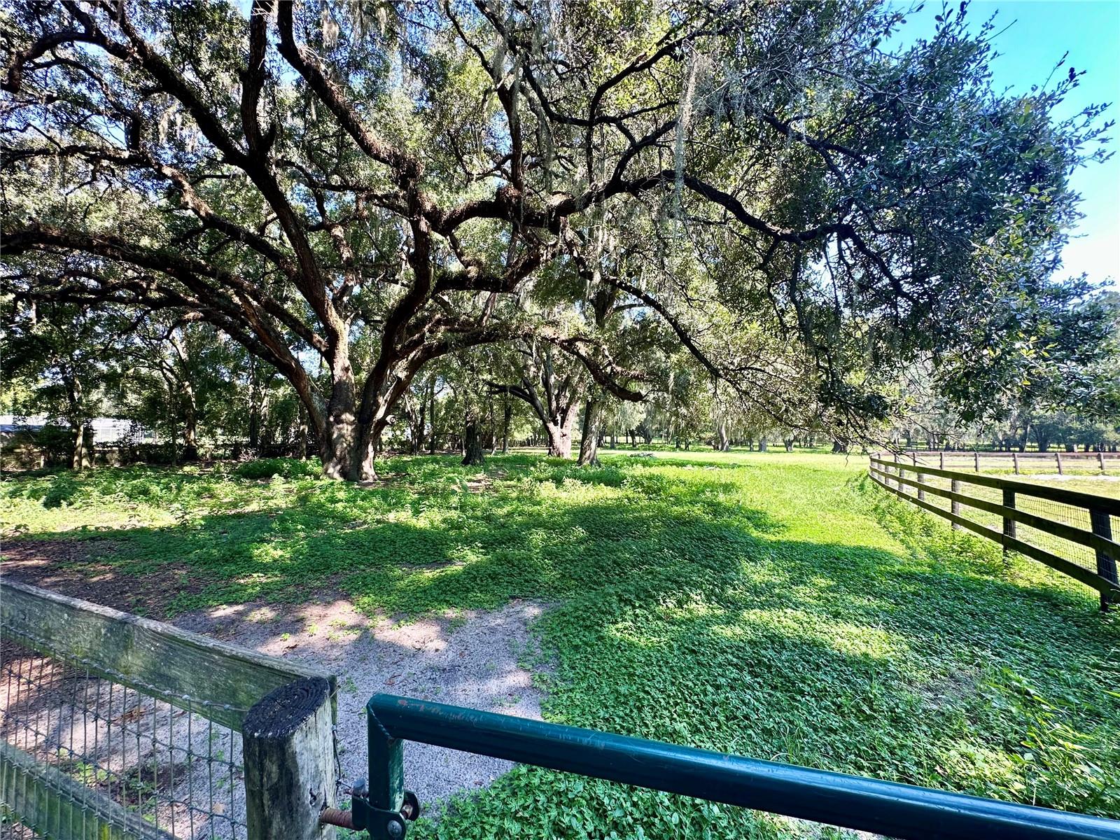 ARRENDONDO GRANT - Residential