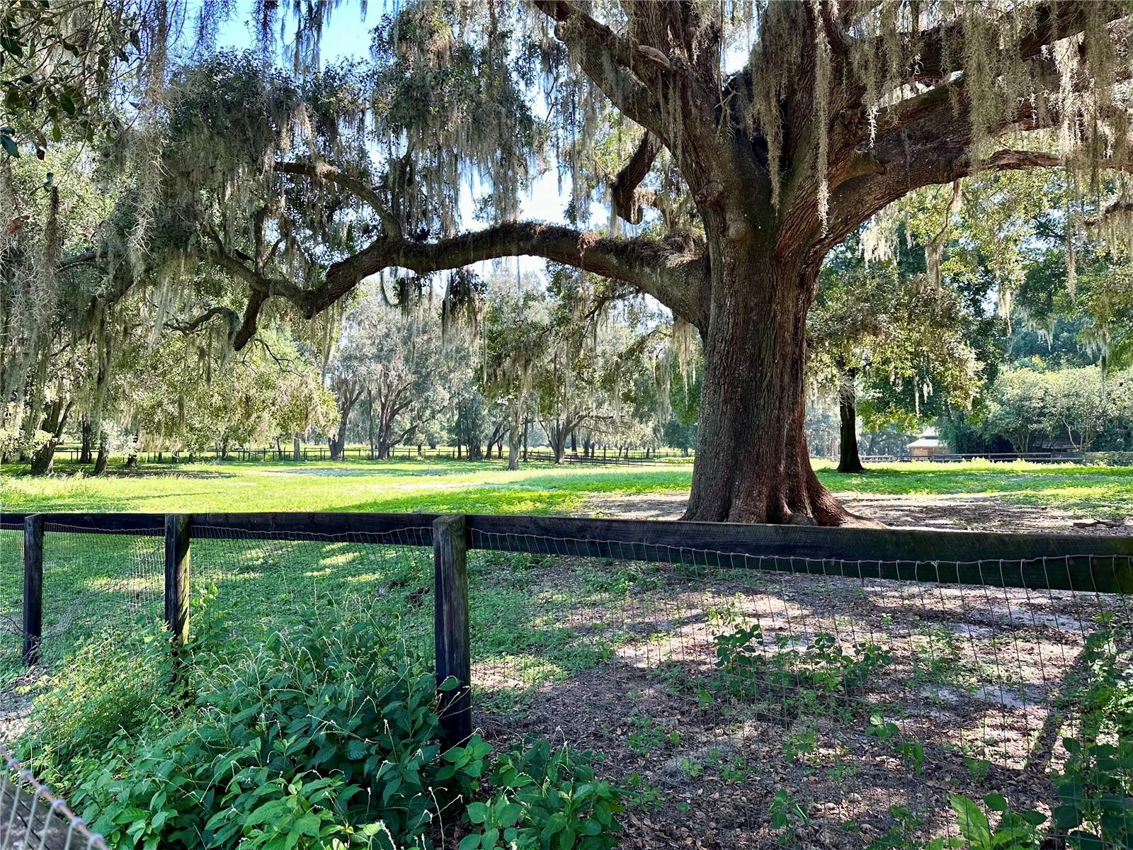 ARRENDONDO GRANT - Residential