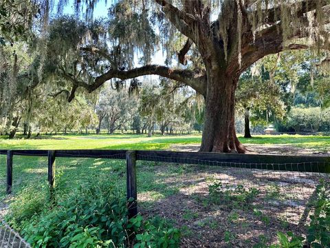 Tiny photo for 5625 NW 193rd Lane, Orange Lake, FL 32681 (MLS # OM716148)