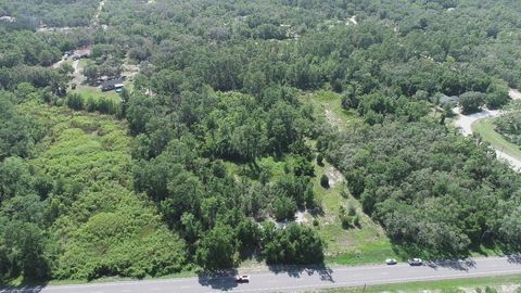 TREIMAN BOULEVARD WEBSTER FL 33597