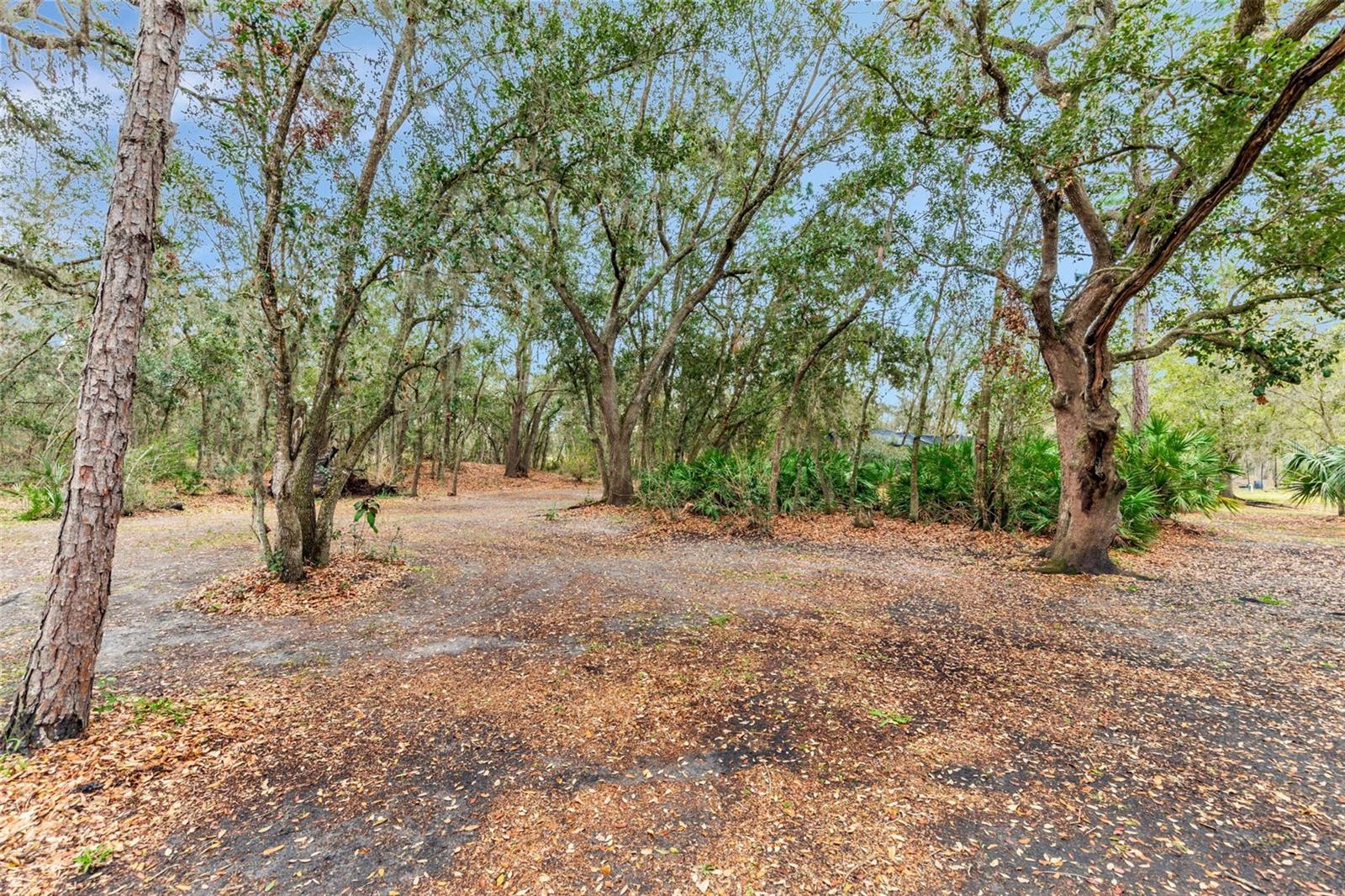 POMELLO CITY CENTRAL UNIT - Residential