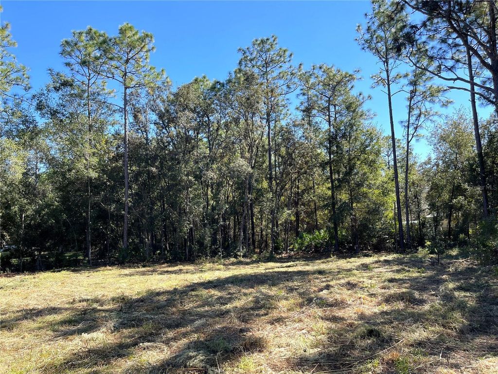 Photo of 6712 W Macopin Lane, Crystal River, FL 34429 (MLS # OM712540)