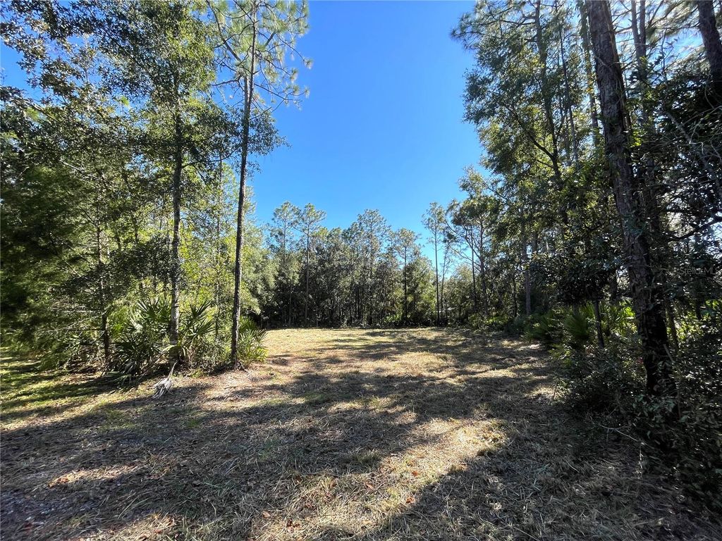 Photo of 6712 W Macopin Lane, Crystal River, FL 34429 (MLS # OM712540)
