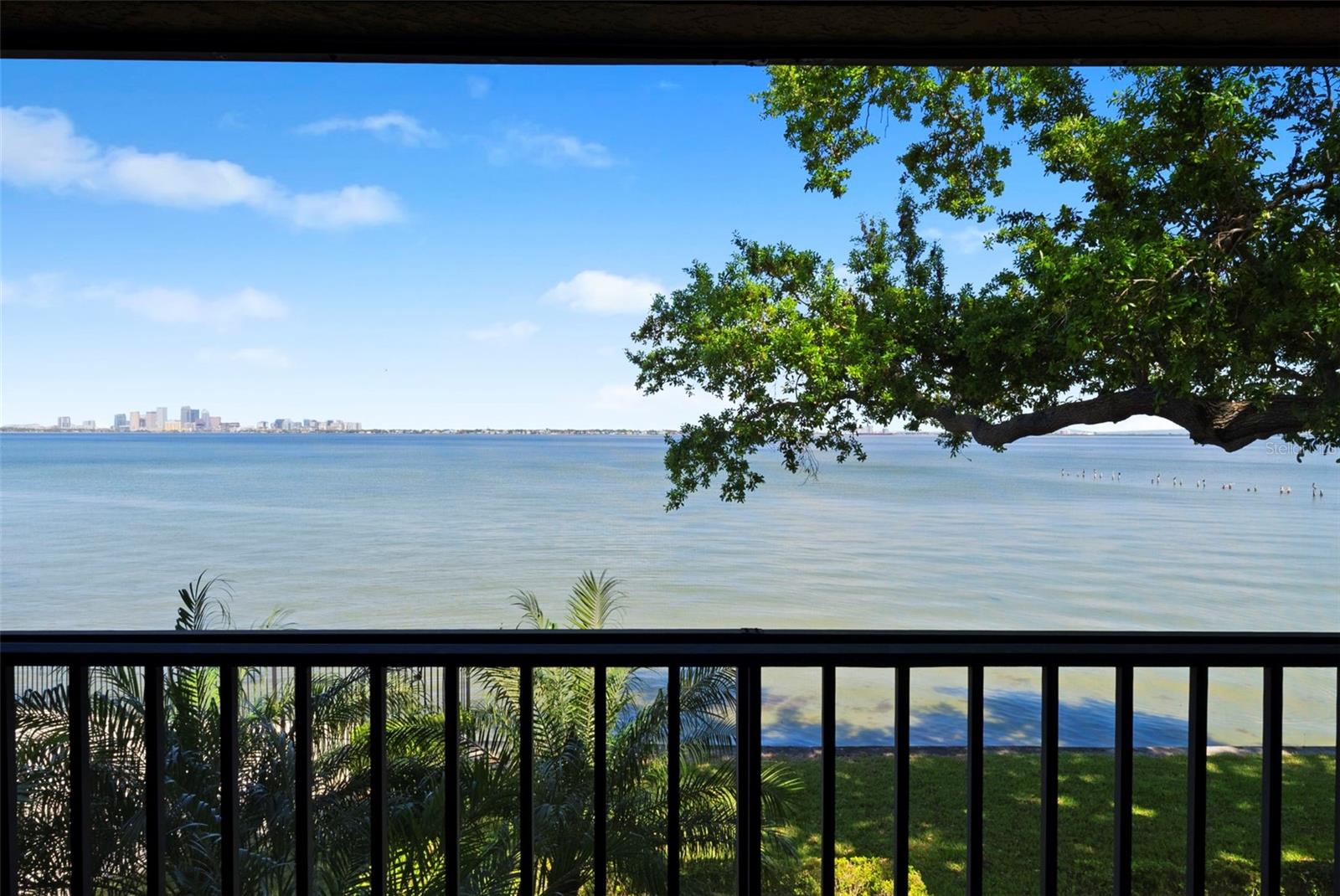 5010 BAYSHORE CONDO INC - Residential