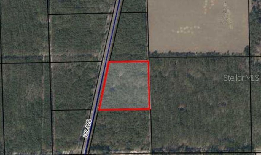 ~9.5 acre lot with HWY 129 frontage. This high and dry property has planted pines that can be sold when fully grown. Zoned A1 agricultural. Can be purchased with the adjacent lot, see OM717047