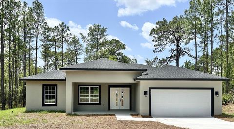 Photo of 9335 N Fairy Lilly Drive, Citrus Springs, FL 34433 (MLS # O6312102)