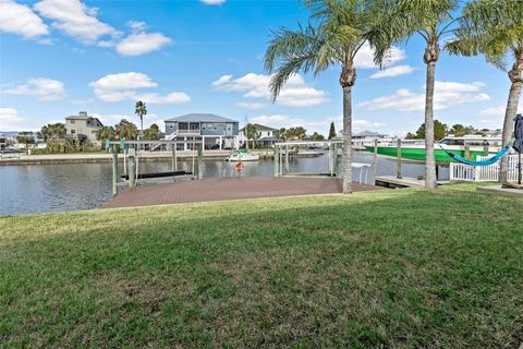 A home in HERNANDO BEACH