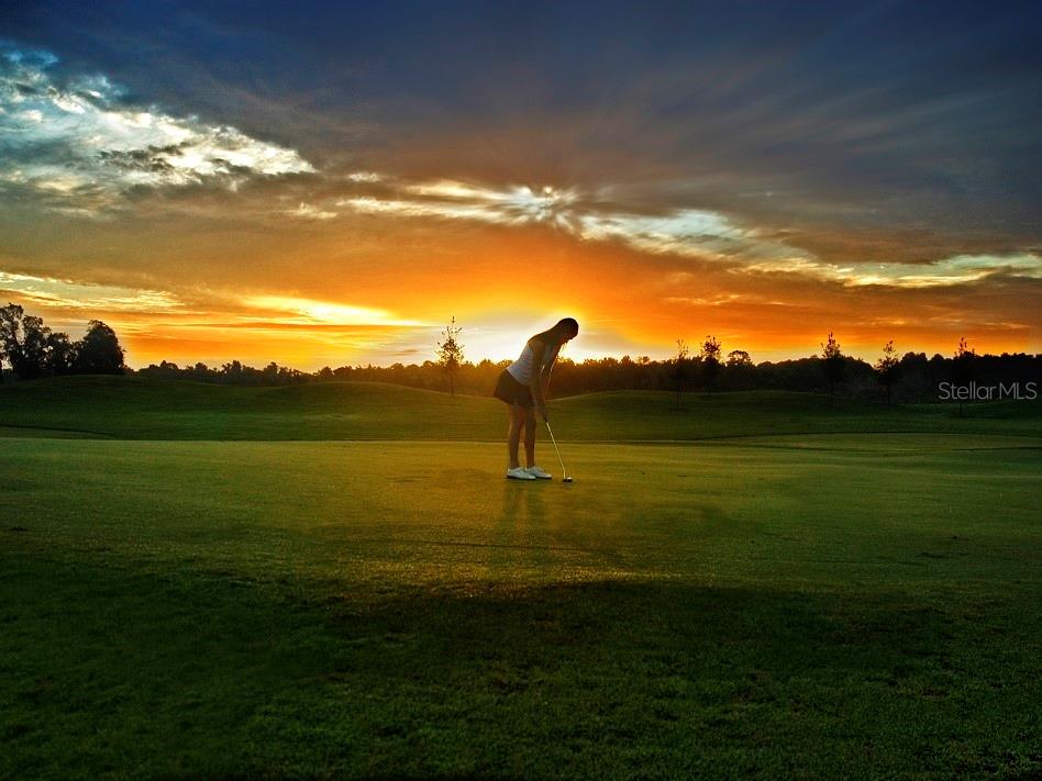 DRAYTON-PRESTON WOODS/PROVIDEN - Residential