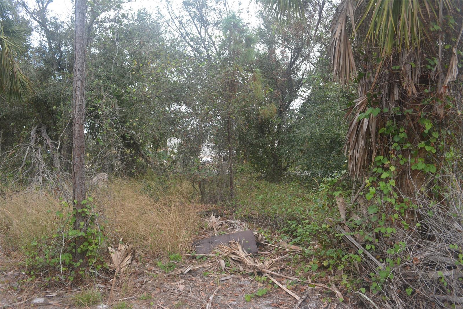 PORT CHARLOTTE SUB 25 - Land