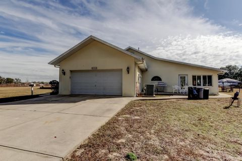 Photo of 6101 S Nutshell Terrace, Lecanto, FL 34461 (MLS # TB8470241)