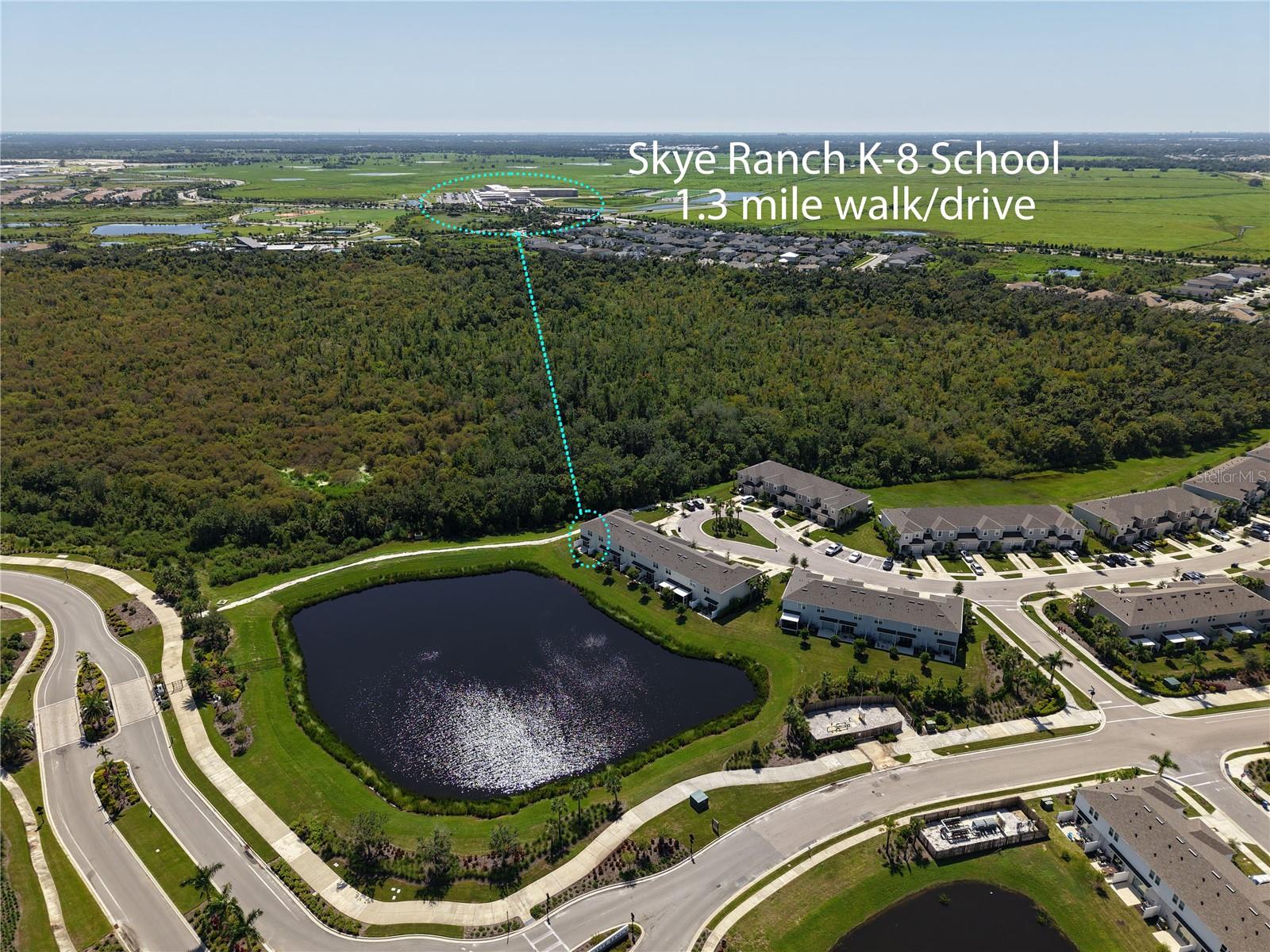 SKYE RANCH NBRHD 2 TWNHMS - Residential