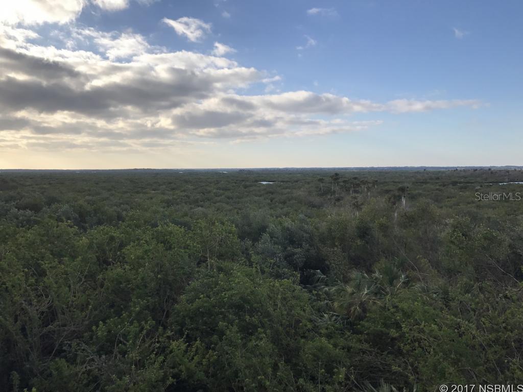 Ocean Walk/New Smyrna Beach - Residential