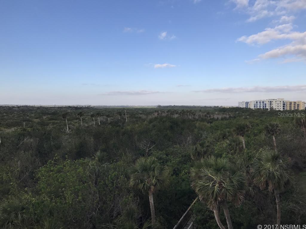 Ocean Walk/New Smyrna Beach - Residential