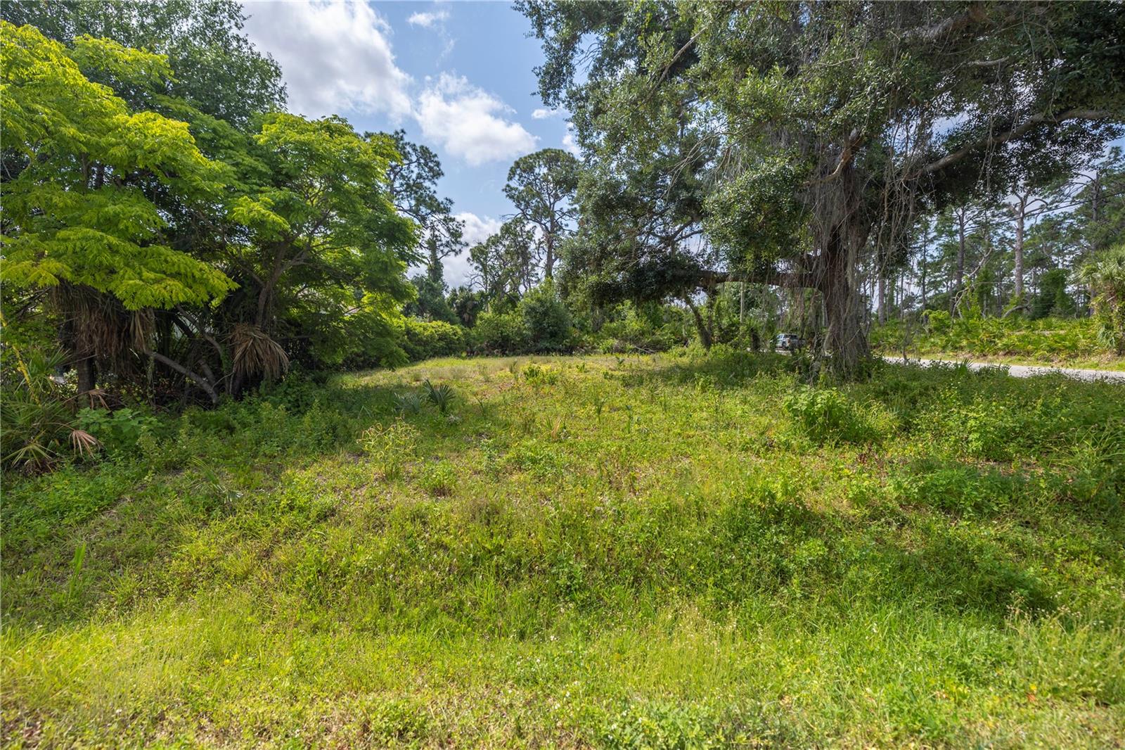 WARM MINERAL SPGS - Land