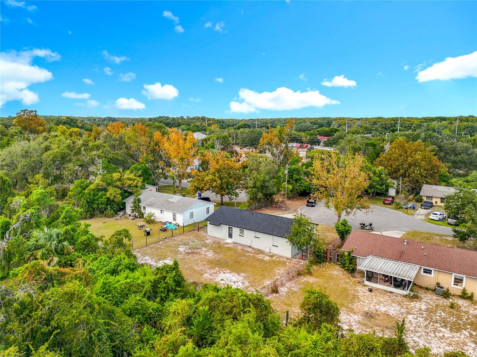 TAVARES 03 PINES REP LT 01 - Residential