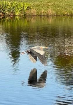 SUNRISE PRESERVE - Residential