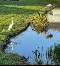 SUNRISE PRESERVE - Residential