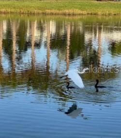 SUNRISE PRESERVE - Residential