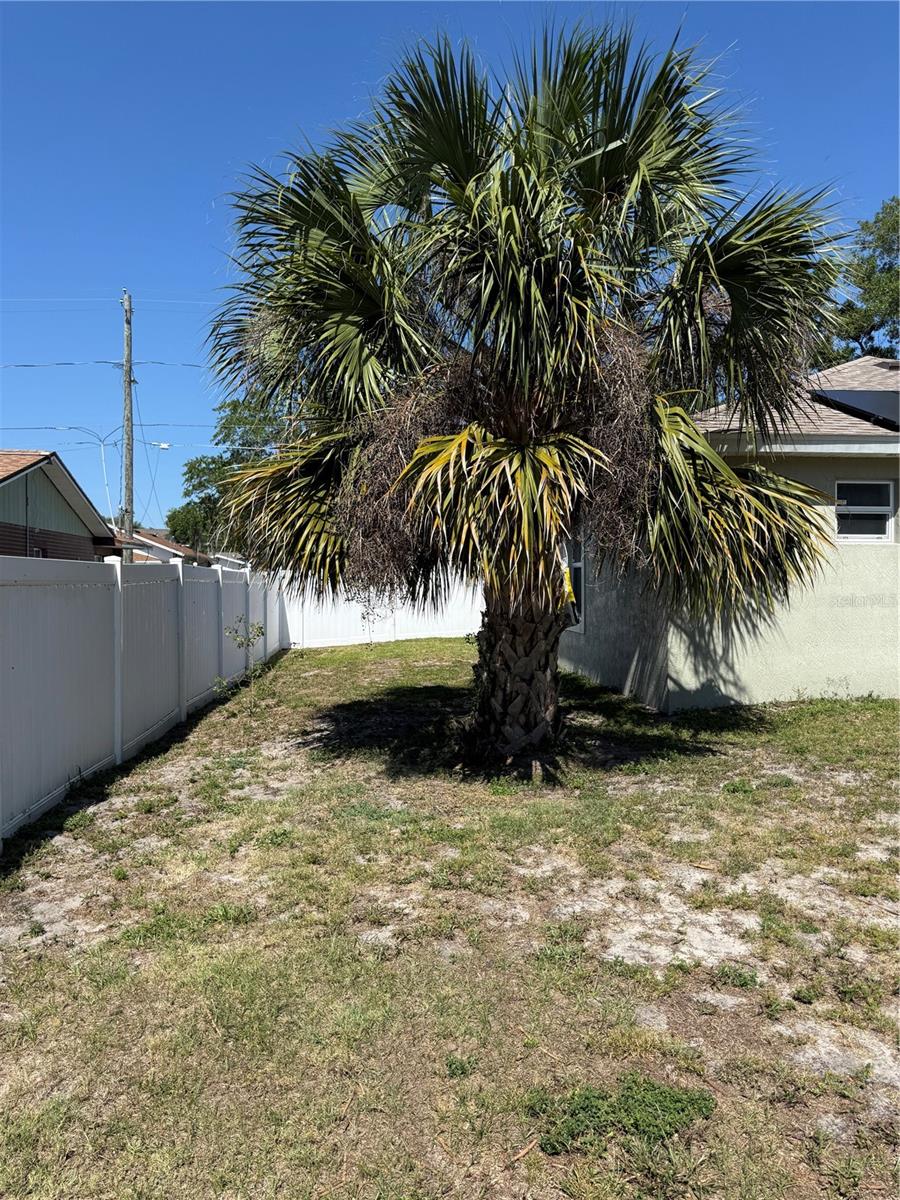 AUBURNDALE HEIGHTS - Residential
