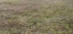 Great opportunity to buy land in the fastest growing city in Florida. Primo location.