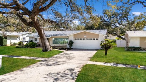 1353 WILLIAMS DRIVE CLEARWATER FL 33764